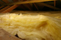 Whitney Bottom pitch roof insulation