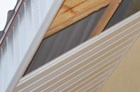 rated Whitney Bottom soffit repair companies